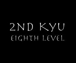 2nd Kyu Individual Video