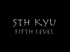 5th Kyu Individual Video