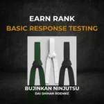 Earn Rank - Basic Package