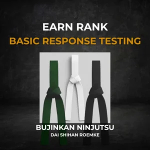Earn Rank - Basic Package