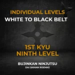 1st Kyu Individual Video