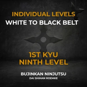 1st Kyu Individual Video