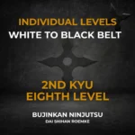 2nd Kyu Individual Video