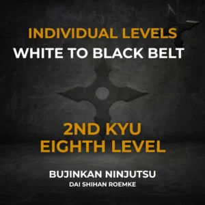 2nd Kyu Individual Video