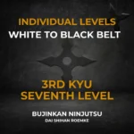 3rd Kyu Individual Video