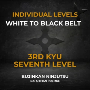3rd Kyu Individual Video