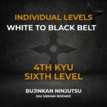 4th Kyu Individual Video