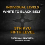 5th Kyu Individual Video
