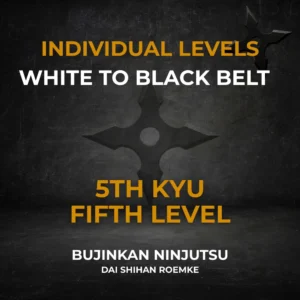 5th Kyu Individual Video