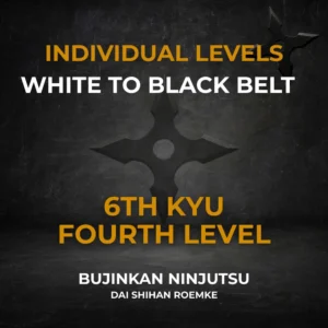 6th Kyu Individual Video