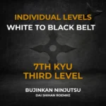 7th Kyu Individual Video