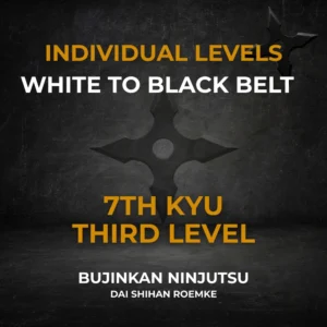 7th Kyu Individual Video