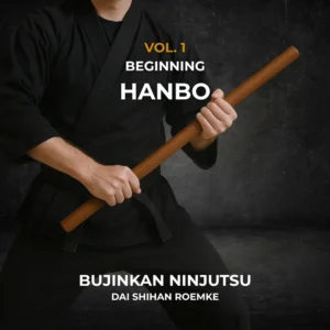 Hanbo Basics