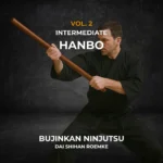 Hanbo 2