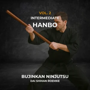 Hanbo 2