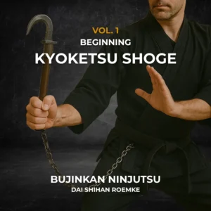 Kyoketsu Shoge Basics