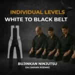 Individual Levels - Bujinkan Ninjutsu