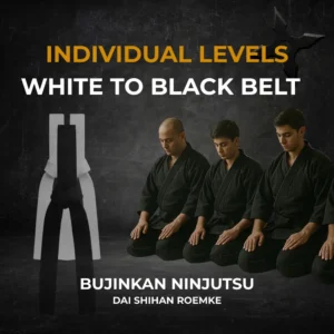 Individual Levels - Bujinkan Ninjutsu